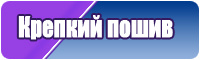 Толстовка hoodie